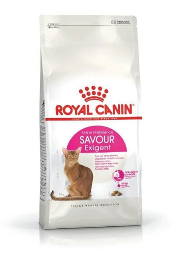 RC KEDİ MAMASI 2 KG EXIGENT 35/30
 resmi