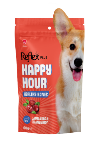 REFLEX KÖPEK ÖDÜL MAMASI 60 GR HAPPY SAĞLIKLI KEMİKLER resmi