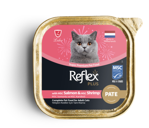 REFLEX FOLYO KEDI 85GR SOMON KARIDESLI *RFK74 resmi