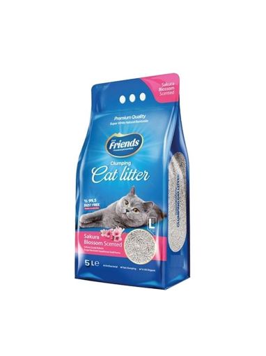 FRIENDS KEDİ KUMU 5LT PUDRA KOKULU resmi