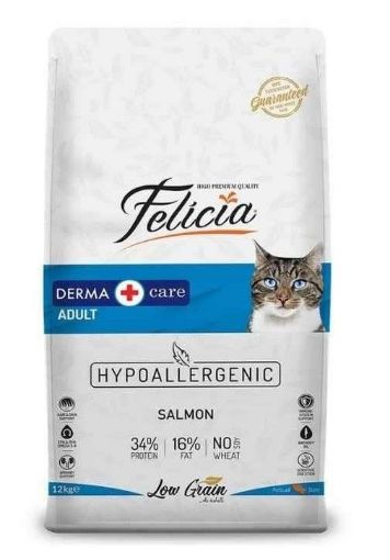FELICIA SOMONLU KEDİ MAMASI 12KG resmi