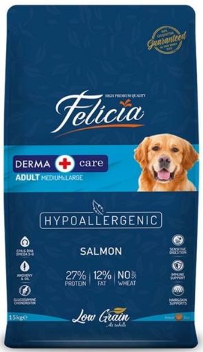 FELICIA SOMONLU KÖPEK MAMASI 15KG resmi