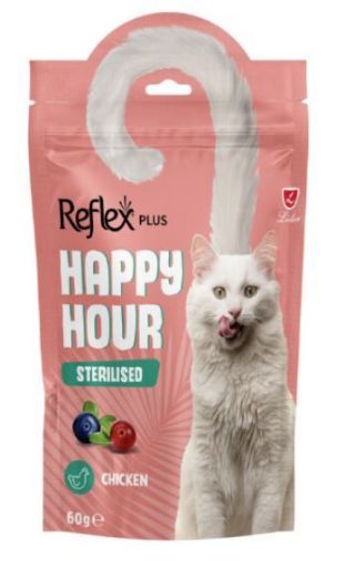 REFLEX PLUS HAPPY HOURS TAVUKLU YABAN MERSİNLİ VE KIZILCIKLI KISIRLAŞTIRILMIŞ KÖPEK ÖDÜL MAMASI 60GR
 resmi